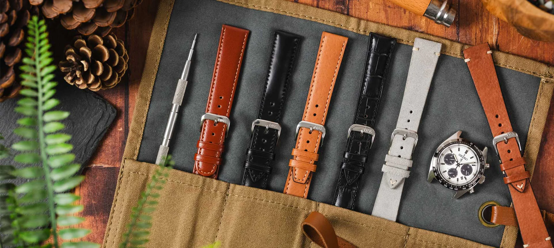 Elevate Your Timepiece Today